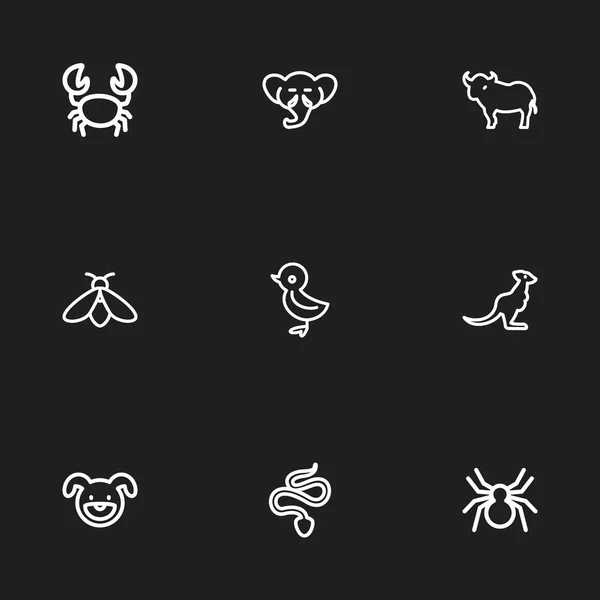 Conjunto de 9 iconos de zoológico editables estilo de línea. Incluye símbolos como omar, toro, gorrión y más. Se puede utilizar para diseño web, móvil, IU e infografía . — Vector de stock