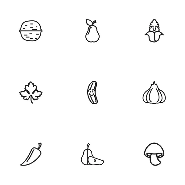 Set de 9 iconos de utensilios de cocina editables estilo de línea. Incluye símbolos como maíz, hoja, chile y más. Se puede utilizar para diseño web, móvil, IU e infografía . — Vector de stock