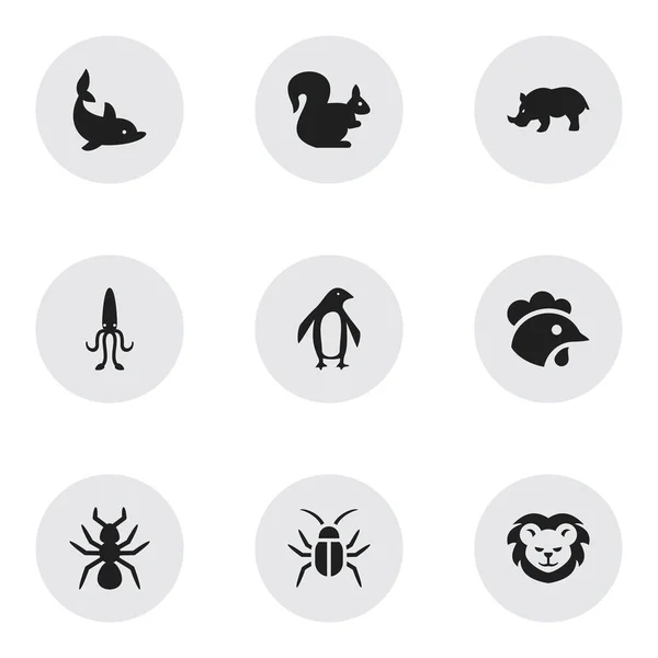 Set van 9 bewerkbare dierlijke pictogrammen. Bevat symbolen zoals kever, pinguïn, neushoorn en meer. Kan worden gebruikt voor web, mobiel, ontwerp Ui en infographic. — Stockvector