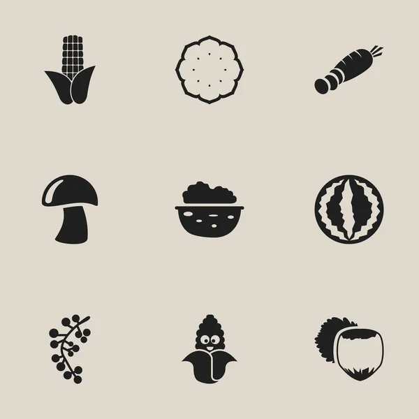 Набор из 9 съедобных блюд. Включает такие символы, как фундук, грецкий орех, кукуруза и многое другое. Может использоваться для веб, мобильного, пользовательского и инфографического дизайна . — стоковый вектор