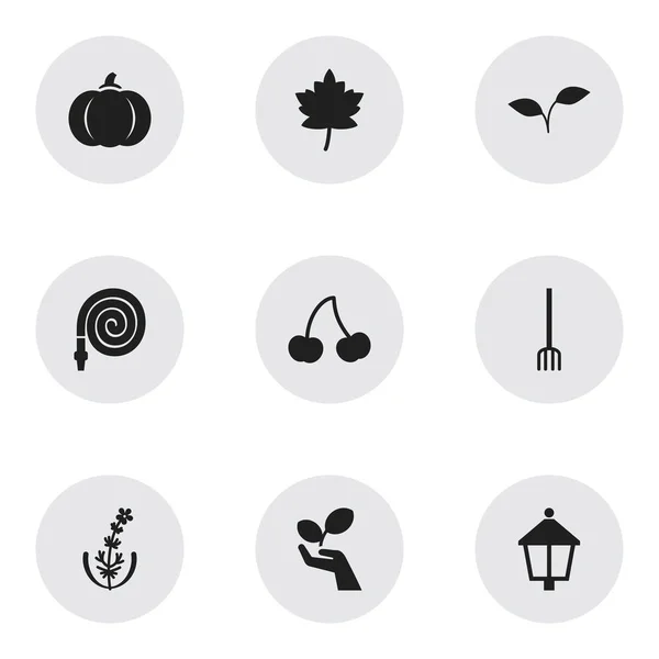 Set of 9 editable planting icons. Includes symbols such as jasmine, maple, save nature and more. Can be used for web, mobile, UI and infographic design. — Stock Photo, Image
