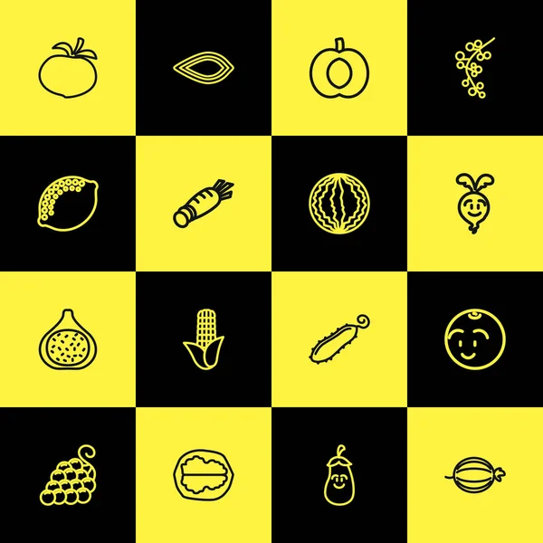 Conjunto de 16 ícones de cozinha editáveis estilo linha. Inclui símbolos como noz, berinjela, milho e muito mais. Pode ser usado para web, mobile, UI e design infográfico . — Fotografia de Stock