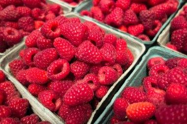 Taze kırmızı ahududu meyve arka kapatmak