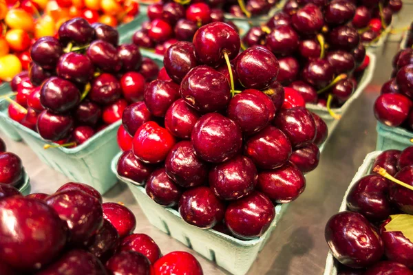 Taze Kırmızı Kiraz Meyve Atış Kapatın — Stok fotoğraf