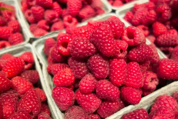 Framboesa Vermelha Fresca Frutas Fechar Fundo — Fotografia de Stock