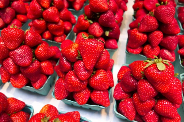 Fresas Rojas Frescas Cerca Fondo —  Fotos de Stock