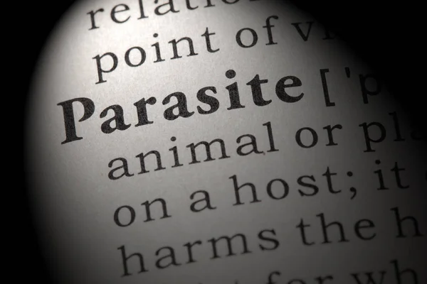 Fake Dictionary Dictionary Definition Word Parasite Including Key Descriptive Words — Stock Photo, Image