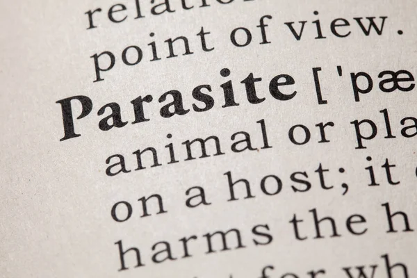 Falska Ordbok Ordlista Definitionen Ordet Parasiten Inklusive Nyckel Beskrivande Ord — Stockfoto