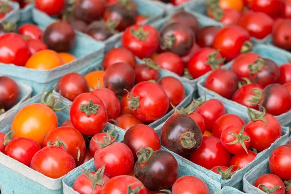 Świeży Pomidor Ogrodu Rynku — Zdjęcie stockowe