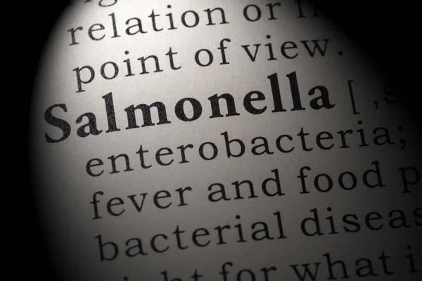 Fake Dictionary Dictionary Definition Word Salmonella Including Key Descriptive Words — Stock Photo, Image