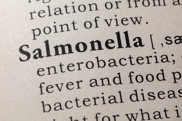 Fake Dictionary Dictionary Definition Word Salmonella Including Key Descriptive Words — Stock Photo, Image