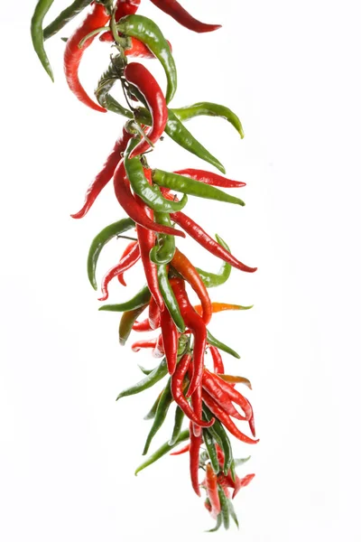 Peperoncino Rosso Caldo Peperoncino Ristra — Foto Stock