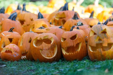 Cadılar Bayramı için Turuncu kabak oyma, yakın çekim.