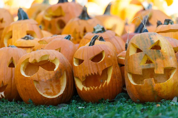 Calabazas Naranjas Talladas Para Halloween Cerca — Foto de Stock