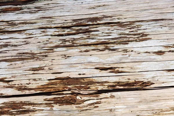 老腐烂的木材背景纹理 — 图库照片