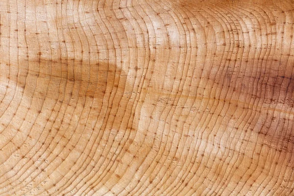 Wood Ring Texture Background Close — Stock Photo, Image