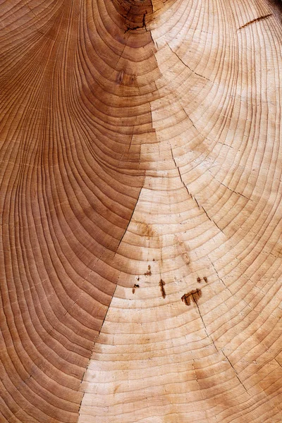 Dřevo Kroužek Textury Pozadí Zblizka — Stock fotografie