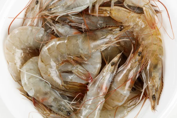 Raw Shrimp White Plate Close — Stock Photo, Image