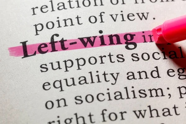 Fake Dictionary Dictionary Definition Word Left Wing Including Key Descriptive — Stock Photo, Image