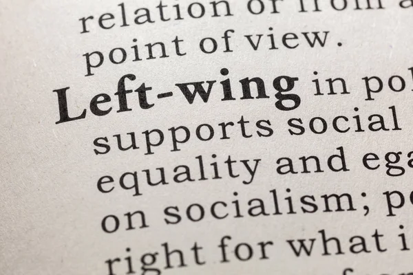 Fake Dictionary Dictionary Definition Word Left Wing Including Key Descriptive — Stock Photo, Image