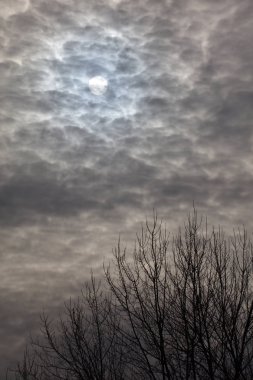 bulutlar gökyüzü doğa arka plan, Vancouver Bc Kanada arkasında güneş  