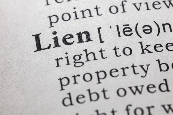 Fake Dictionary Dictionary Definition Word Lien Including Key Descriptive Words — Stock Photo, Image
