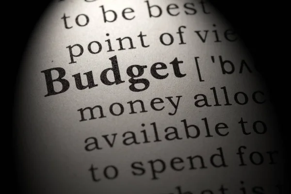 Fake Dictionary Dictionary Definition Word Budget Including Key Descriptive Words — Stock Photo, Image