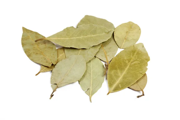 Feuilles Laurier Séchées Isolées Sur Fond Blanc — Photo