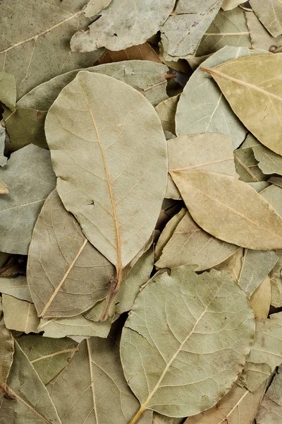 Verde Foglie Alloro Secche Sfondo Vicino — Foto Stock