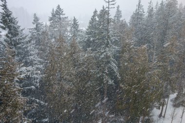 Vancouver Bc Kanada kış kar fırtınası