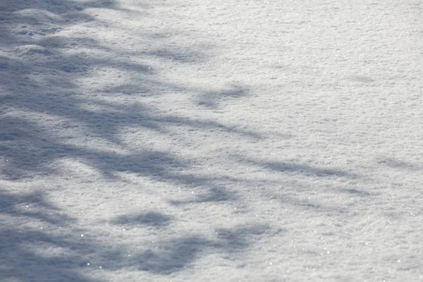 Vinter Vit Snö Och Träd Skugga Natur Bakgrund — Stockfoto