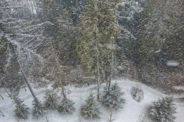 Vinter Snöstorm Vancouver Kanada Stockbild