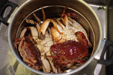 Pacific Red rock crab 