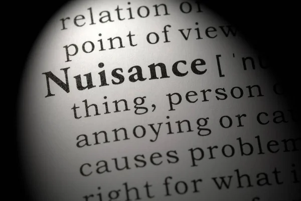 Fake Dictionary Dictionary Definition Word Nuisance — стоковое фото