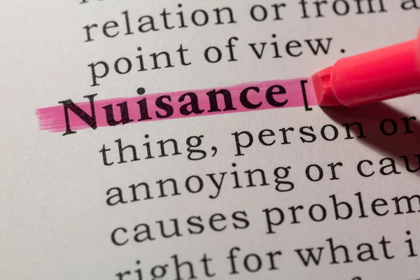 Fake Dictionary Dictionary Definition Word Nuisance — стоковое фото