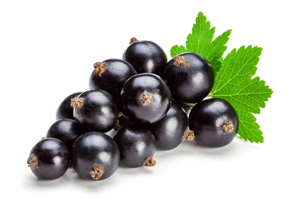 Black currant berries isolated on the white background. — Stock Photo, Image