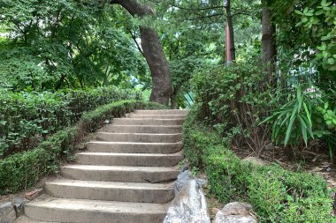 Parktaki taş merdivenler.