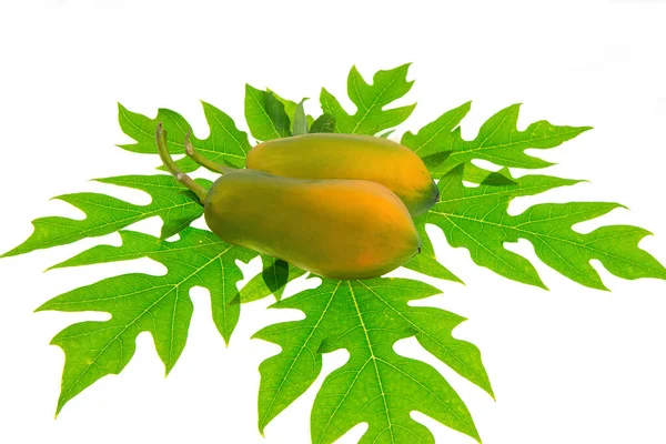 Rijpe Papaja Met Groen Blad Geïsoleerd Witte Achtergrond — Stockfoto