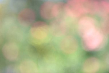 Arkaplan için soyut bulanık yeşil renk, tasarım için bulanık ve odaksız bahar kavramı