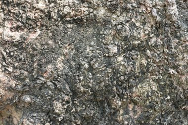 Yıpranmış ahşap yüzey arkaplanını kapat