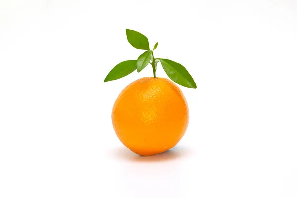 Orangenfrucht Mit Blättern Isoliert Auf Weiß — Stockfoto