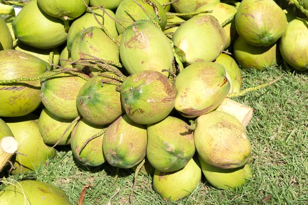 Hromada Zeleného Kokosu Tropické Ovoce Pro Zdravé Stravování — Stock fotografie