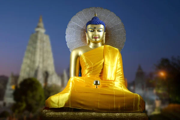 Gyönyörű Buddha Szobrok Mahabodhi Stupa Bodh Gaya Bihar Kerületi Szobor — Stock Fotó
