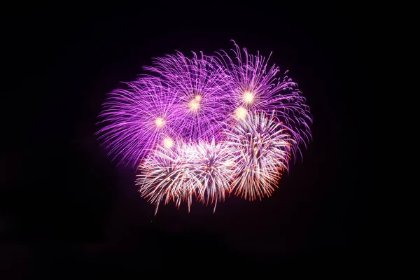 Fireworks Display Dark Sky Background — Stock Photo, Image