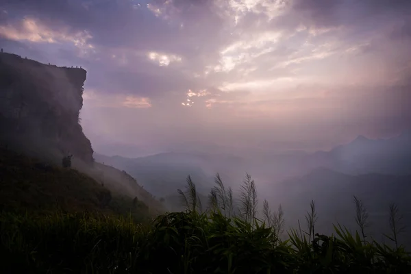 Güneşin doğuşunda sisli bir dağ, Phucheefah, Chiang rai, Tayland.