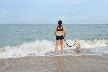 Köpekli kız plajda oynuyor. 