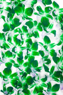 Orkideli kusursuz arkaplan