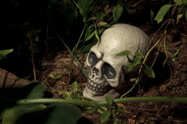 Siyah arkaplanda insan plastik kafatası