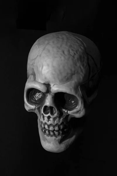 黑色背景下的人类塑料头骨 — 图库照片