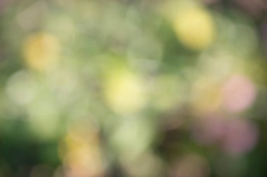 soyut doğa bulanık arkaplan